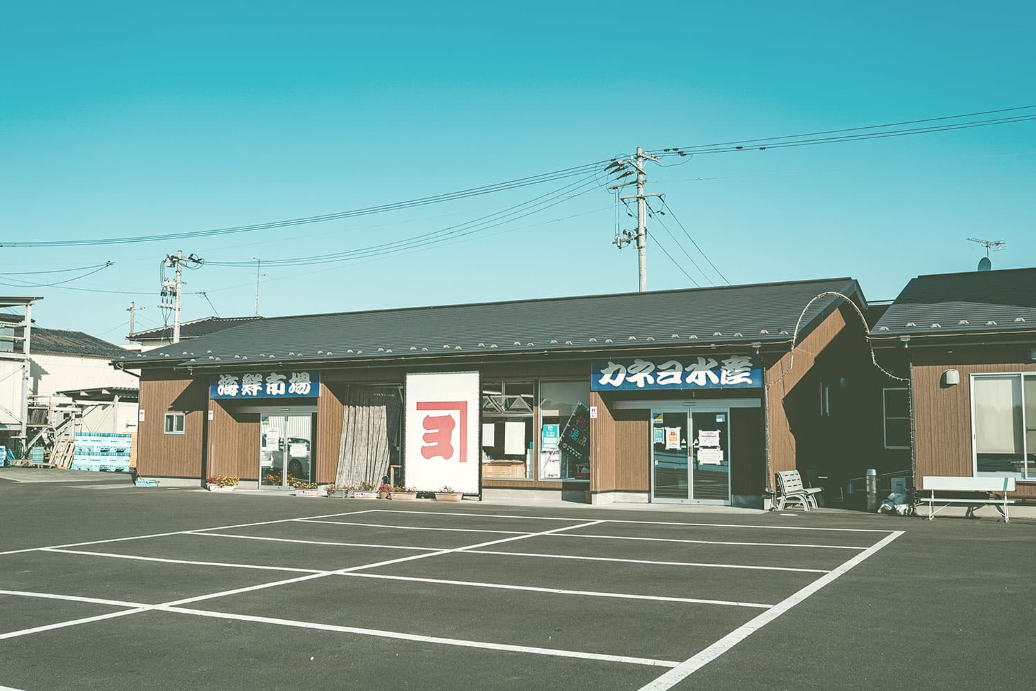 カネヨ水産 たこ八