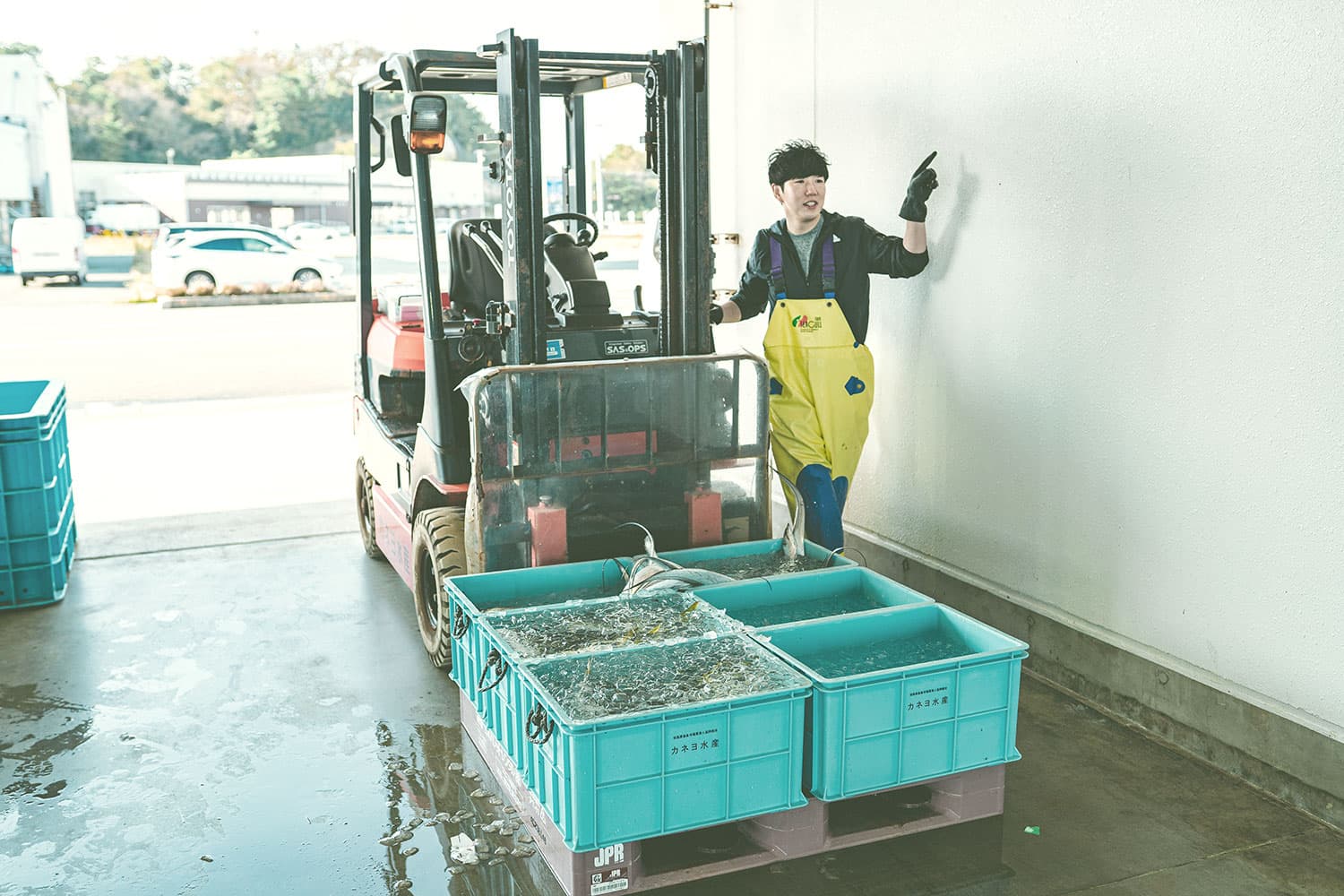 カネヨ水産 たこ八